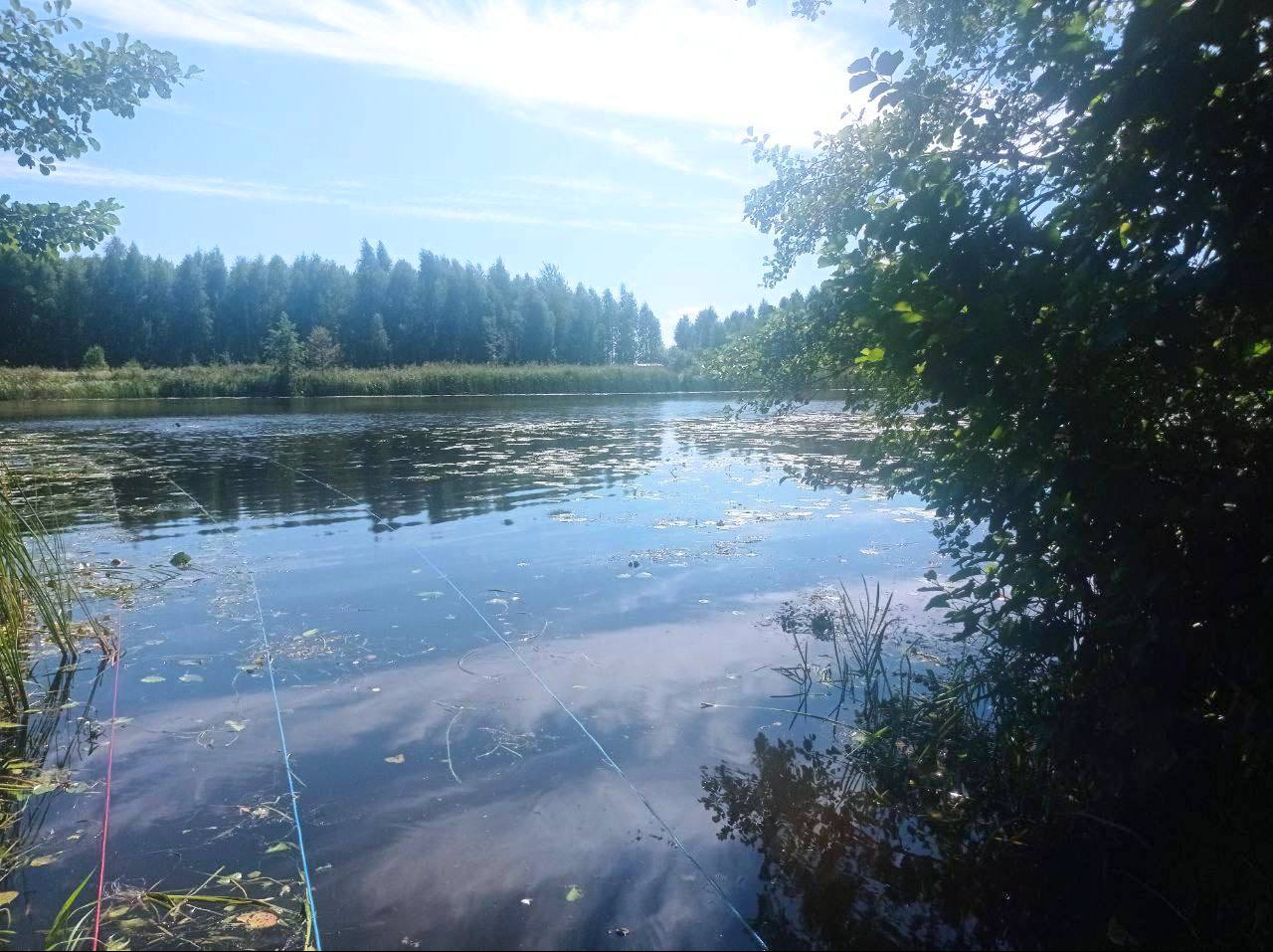 Ребёнок спас сестру, но взрослый не выжил. Подробности трагедии в Брестской области