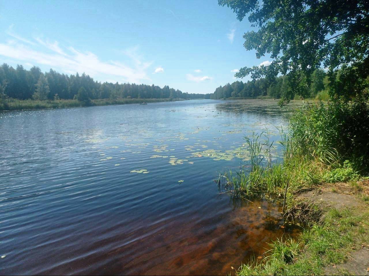 Ребёнок спас сестру, но взрослый не выжил. Подробности трагедии в Брестской области