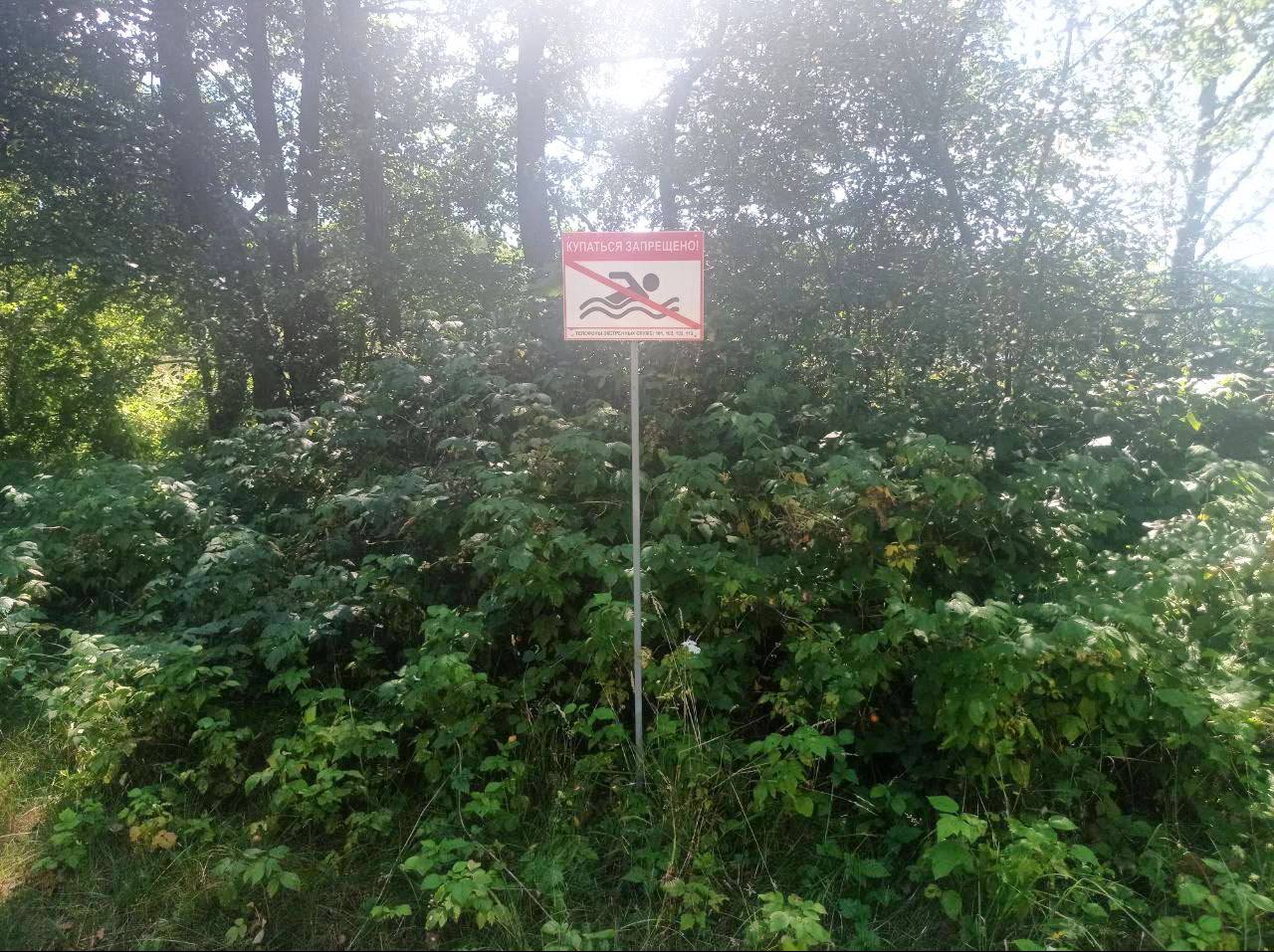 Ребёнок спас сестру, но взрослый не выжил. Подробности трагедии в Брестской области