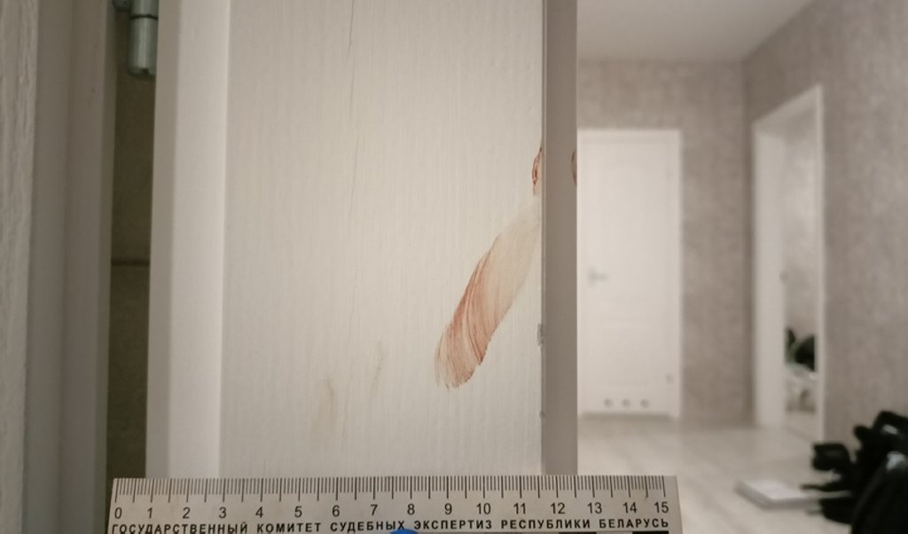 В Бресте жена нанесла мужу тяжкие телесные повреждения — подробности конфликта