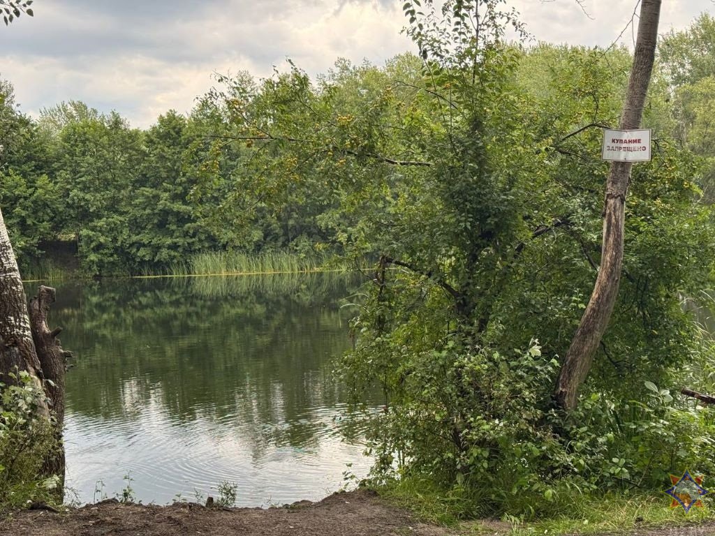 В Бресте в водоеме утонул мужчина