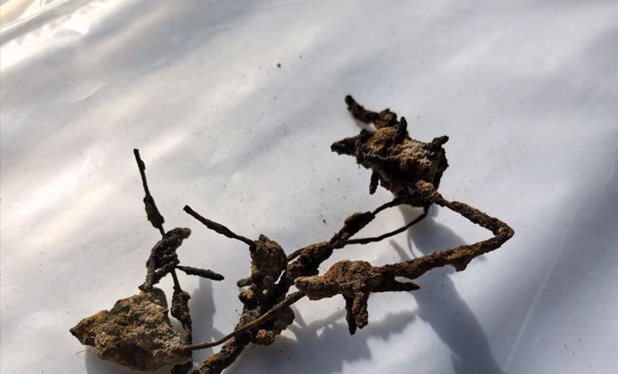 В Жабинковском районе нашли яму, куда фашисты бросали живых детей