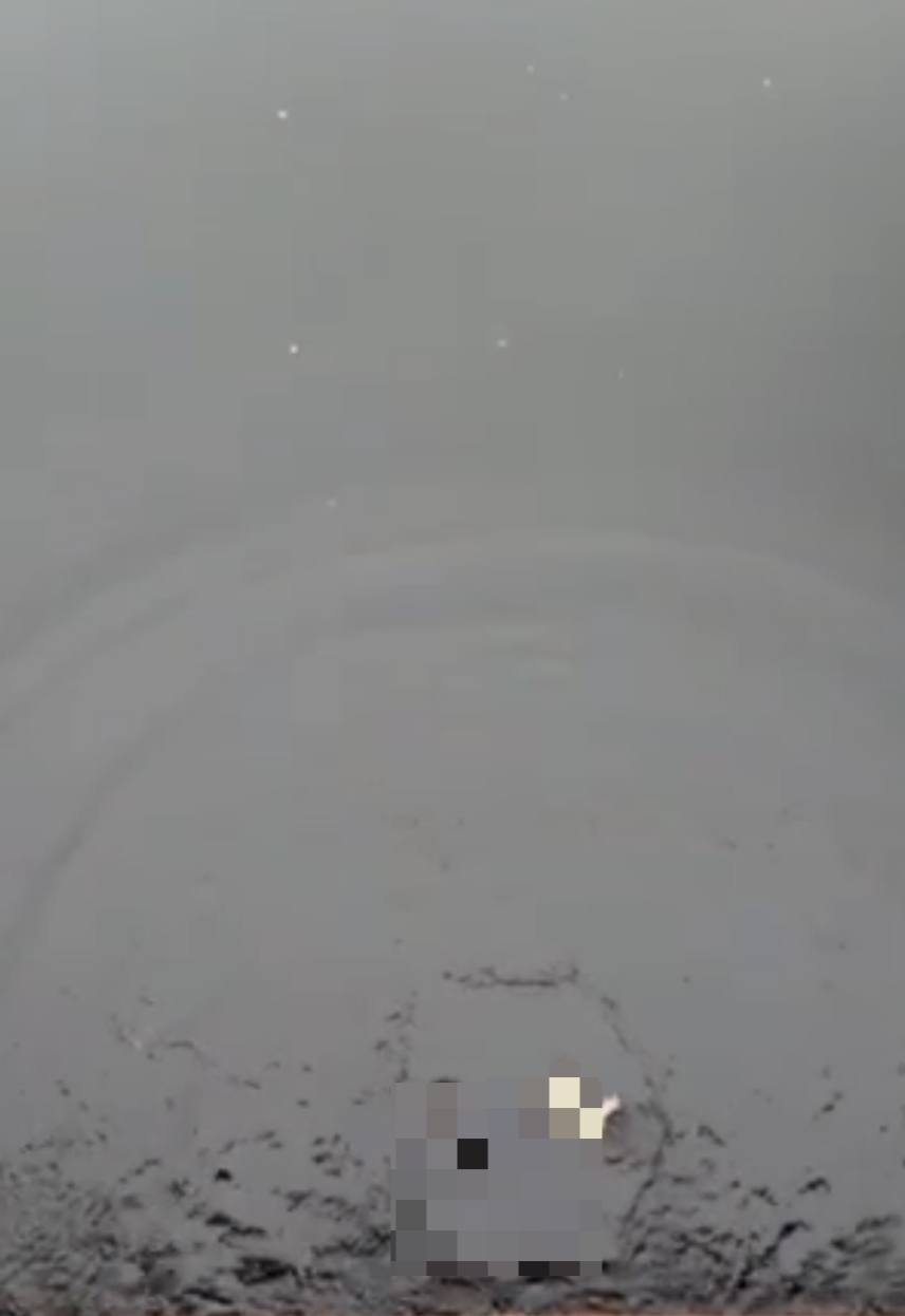 В Бресте вытащили из воды женщину — спасатель рассказал подробности