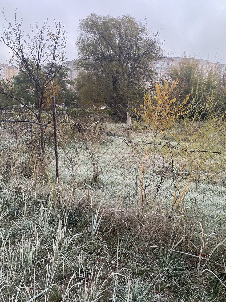 Ваш дом пустует? В Бресте начались рейды. Узнайте, что делать в течение месяца