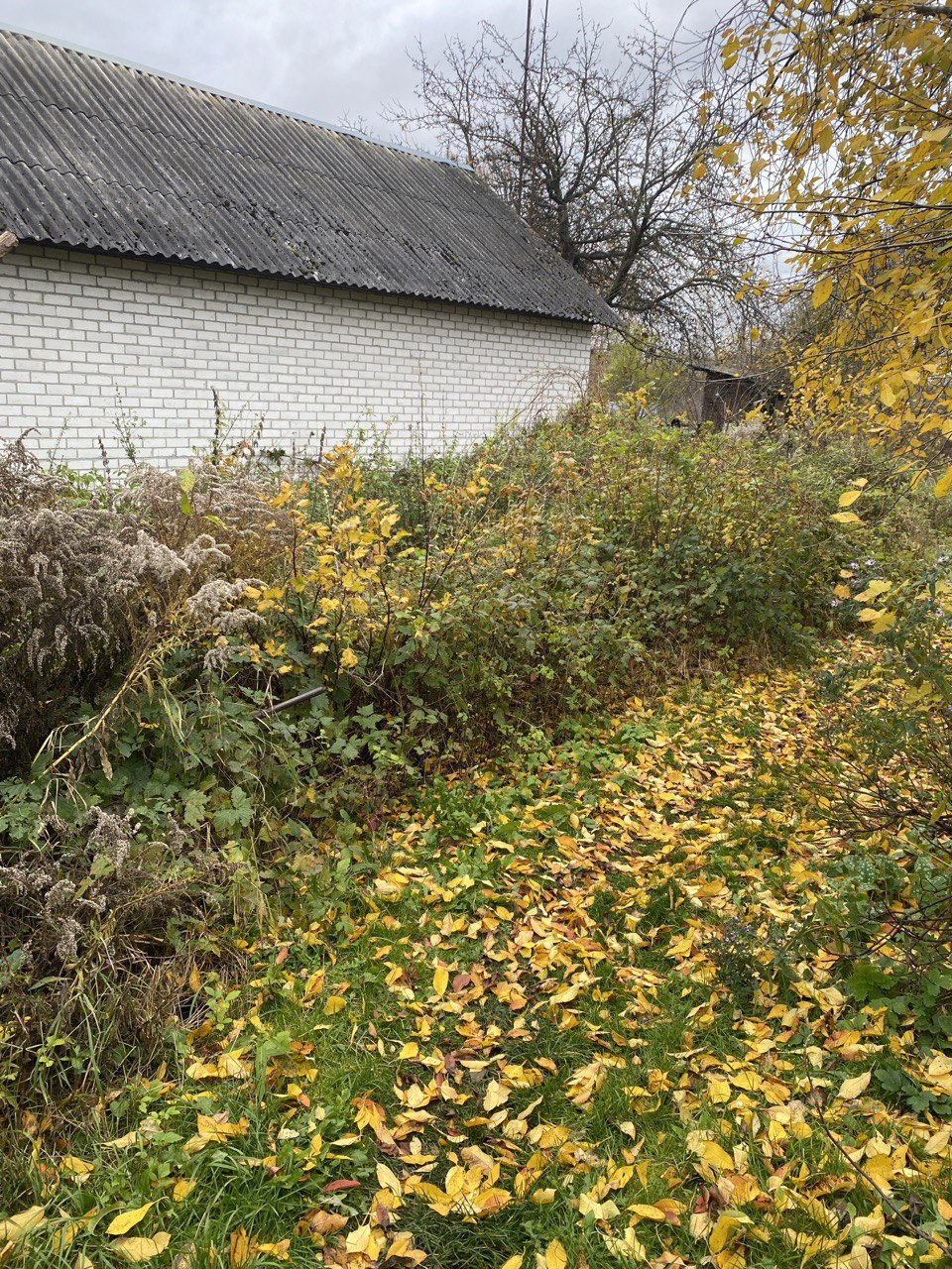 Ваш дом пустует? В Бресте начались рейды. Узнайте, что делать в течение месяца