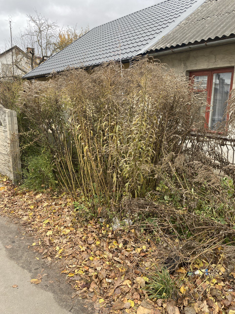 Ваш дом пустует? В Бресте начались рейды. Узнайте, что делать в течение месяца