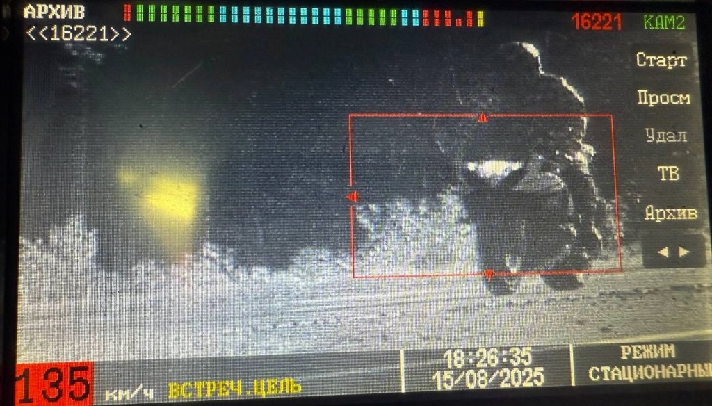 +60 км/ч на Audi: в Брестской области водители попались на превышении