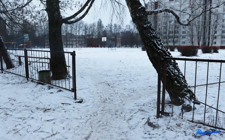 «Снег сойдет – весь двор будет в мерзких кучках». В Барановичах пенсионерка возмущается, что рядом с ее домом выгуливают собак