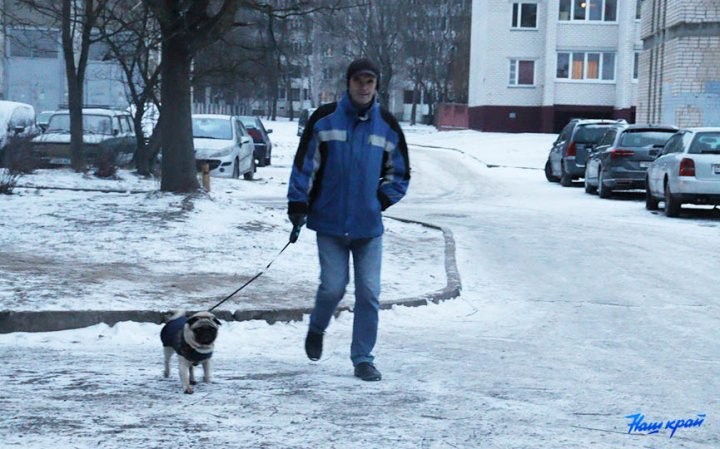 «Снег сойдет – весь двор будет в мерзких кучках». В Барановичах пенсионерка возмущается, что рядом с ее домом выгуливают собак