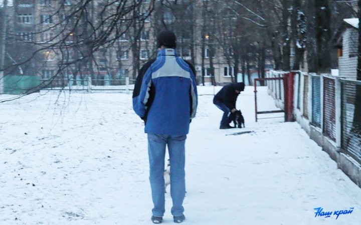 «Снег сойдет – весь двор будет в мерзких кучках». В Барановичах пенсионерка возмущается, что рядом с ее домом выгуливают собак