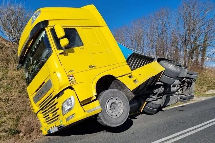 В Италии обернулась фура со свиньями, которых везли белорусы