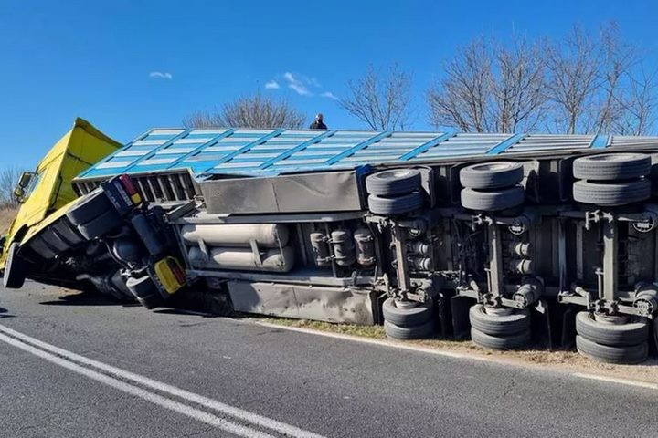 В Италии обернулась фура со свиньями, которых везли белорусы