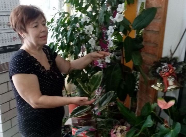 Кусочек тропиков есть в Высоком (Брестская область)