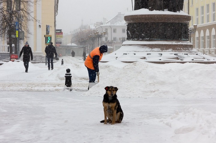 Фото из открытых источников (иллюстративное)