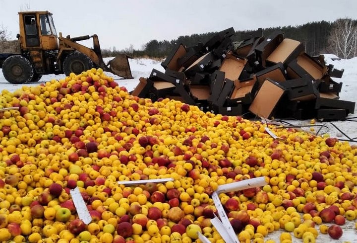 Почти три тонны яблок из Брестской области уничтожили в России