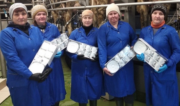 Акция «Наш животновод» прошла в «Видомлянском» (Брестская область)