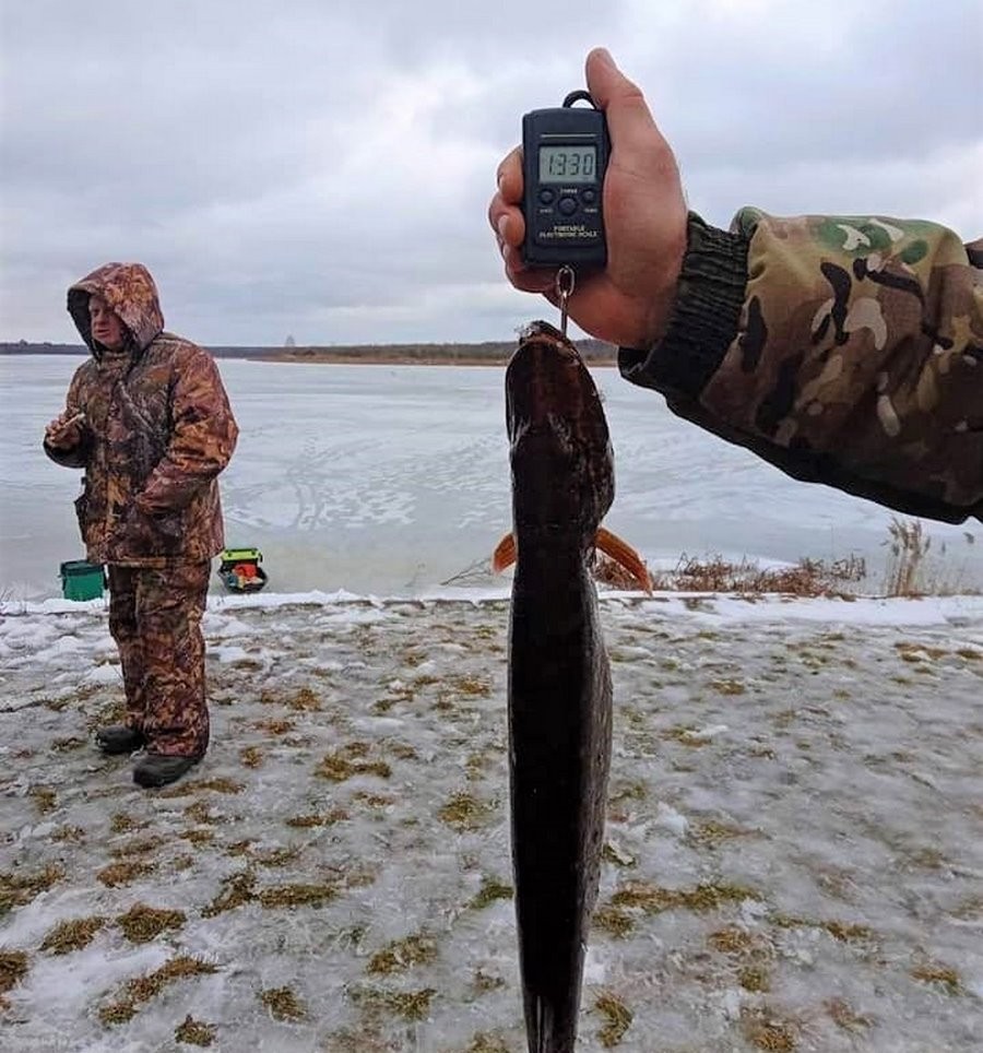 Зимняя рыбалка прошла в Беловежской пуще. Кто стал чемпионом?