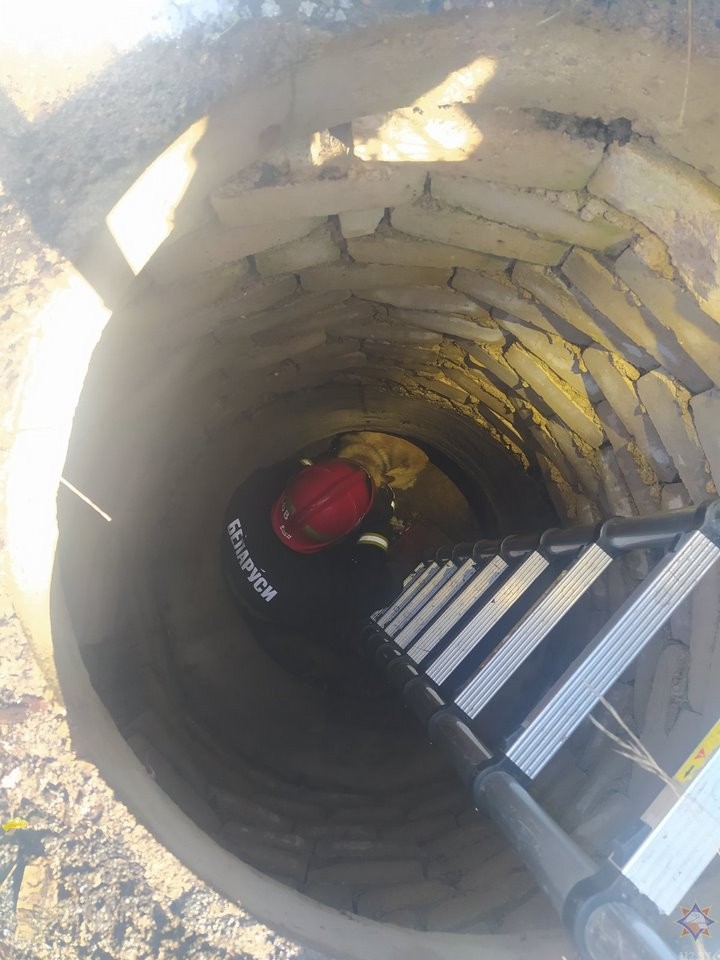 Работники МЧС пришли на помощь упавшей в колодец собаке