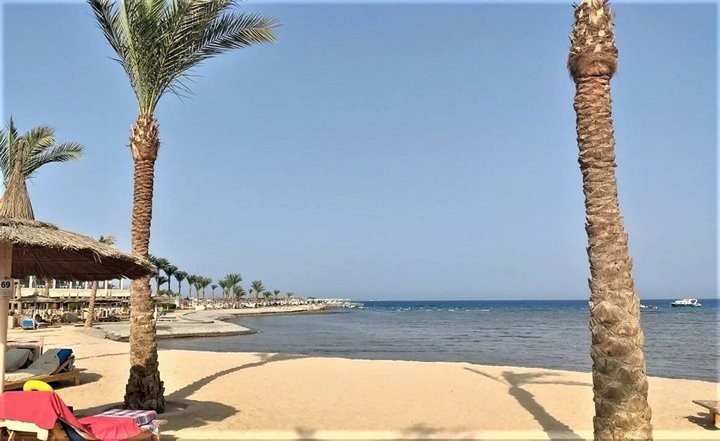 Как тюрьма: белорус поехал в Египет на отдых, а попал на карантин