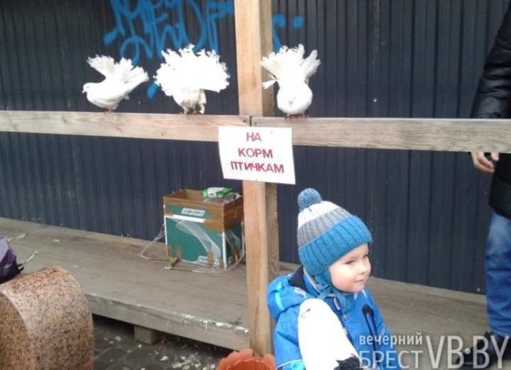 Павлиний подиум на Советской в Бресте