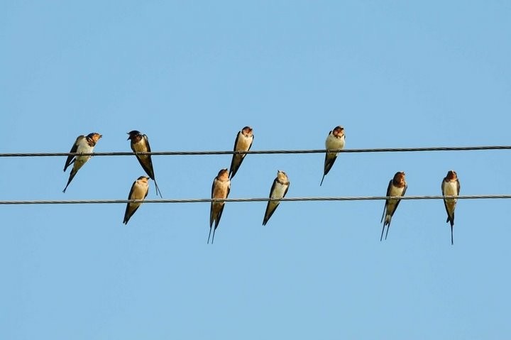 из открытых источников (иллюстративное)