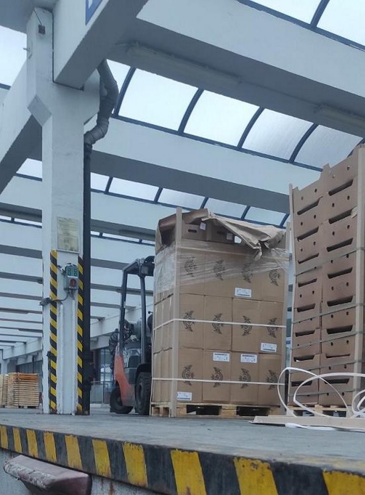 В фуре с огурцами польские таможенники нашли сигареты