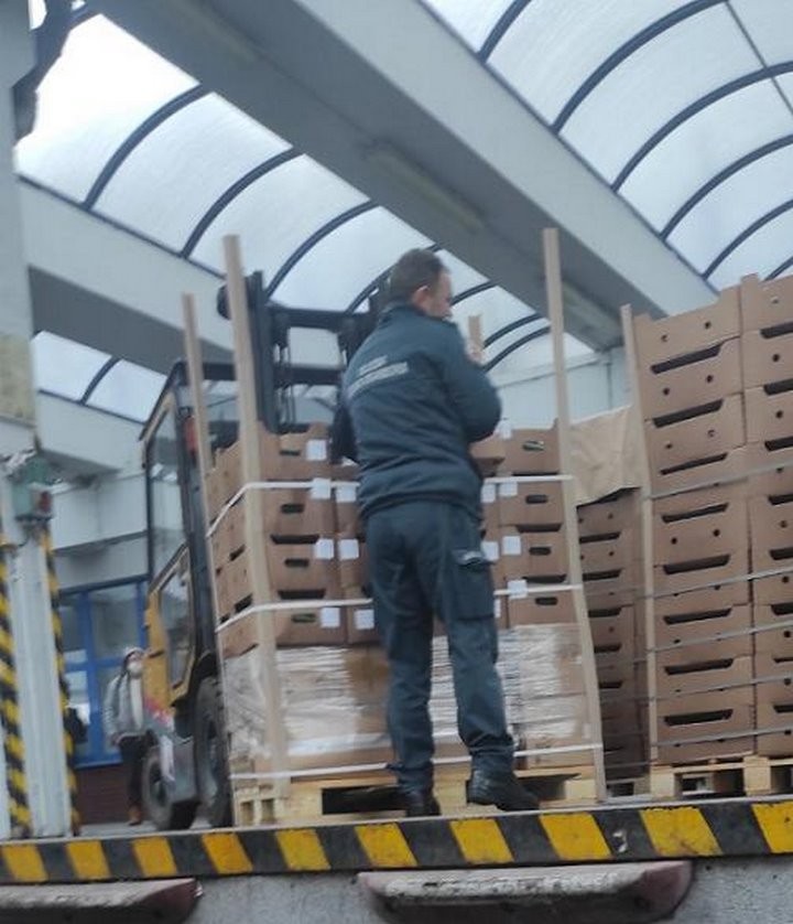 В фуре с огурцами польские таможенники нашли сигареты