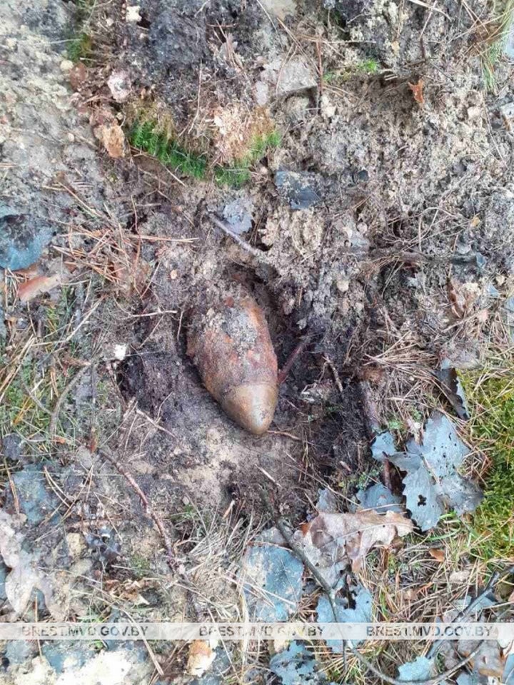 В Кобринском районе за день нашли минометную мину и артиллерийский снаряд