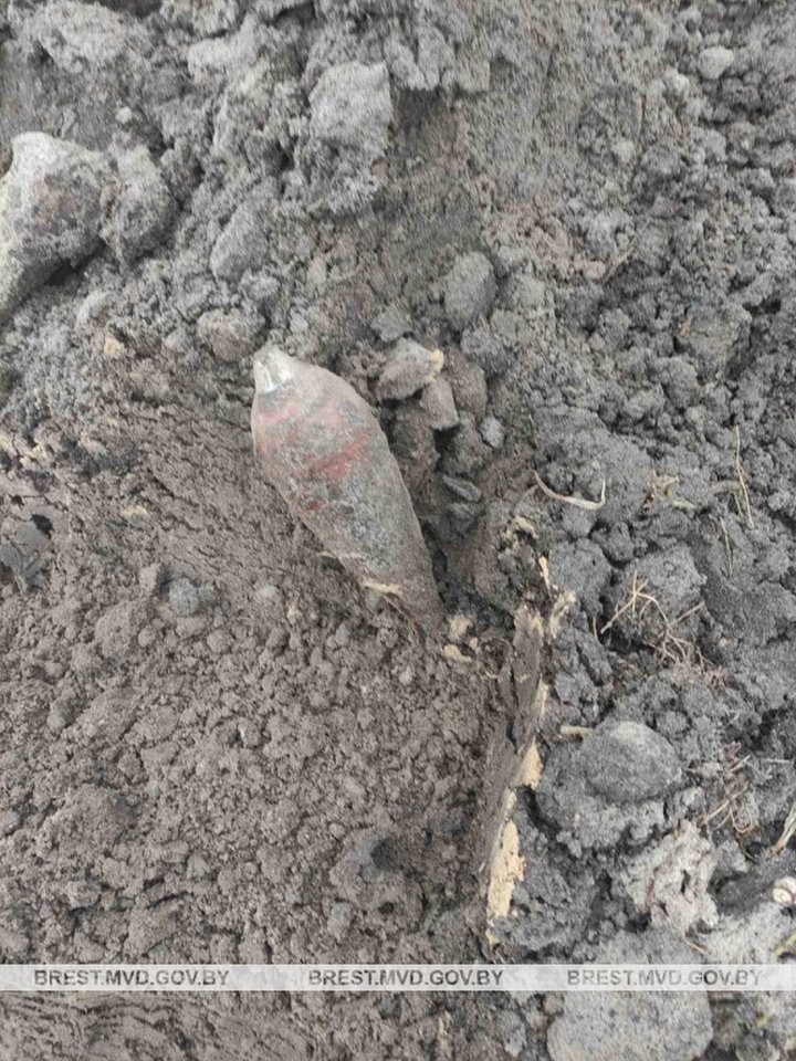 В Кобринском районе за день нашли минометную мину и артиллерийский снаряд