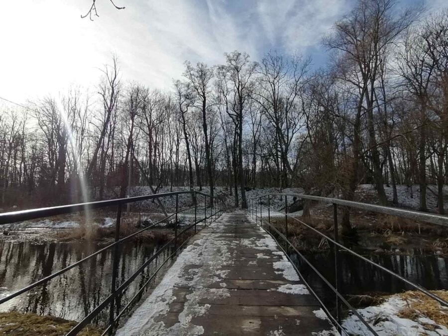 Встретились зима и весна. В парке в Высоком можно застать обе поры года (Брестская область)