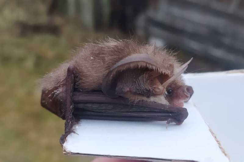 Фото из открытых источников (иллюстративное)