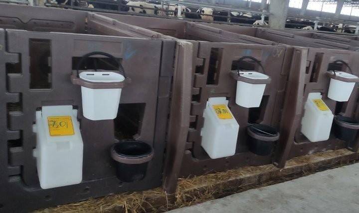 В Пинском районе телят кормит «молочная няня»