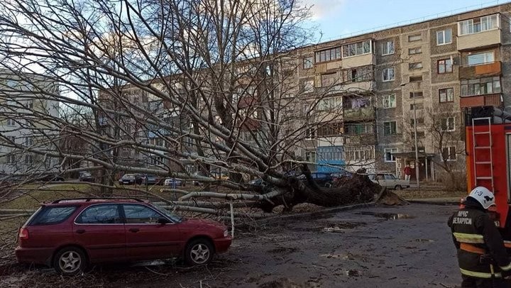 Информация о последствиях непогоды в Бресте