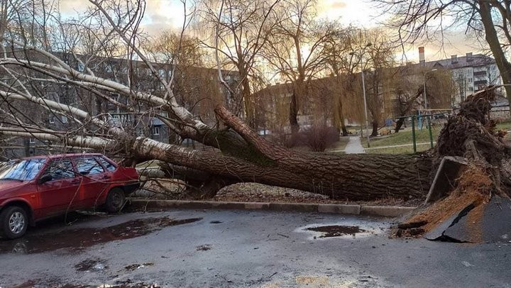 Информация о последствиях непогоды в Бресте