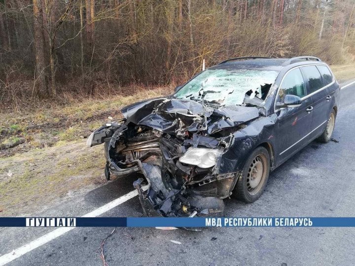 В Брестской области россиянин попал в серьёзное ДТП. Водитель госпитализирован