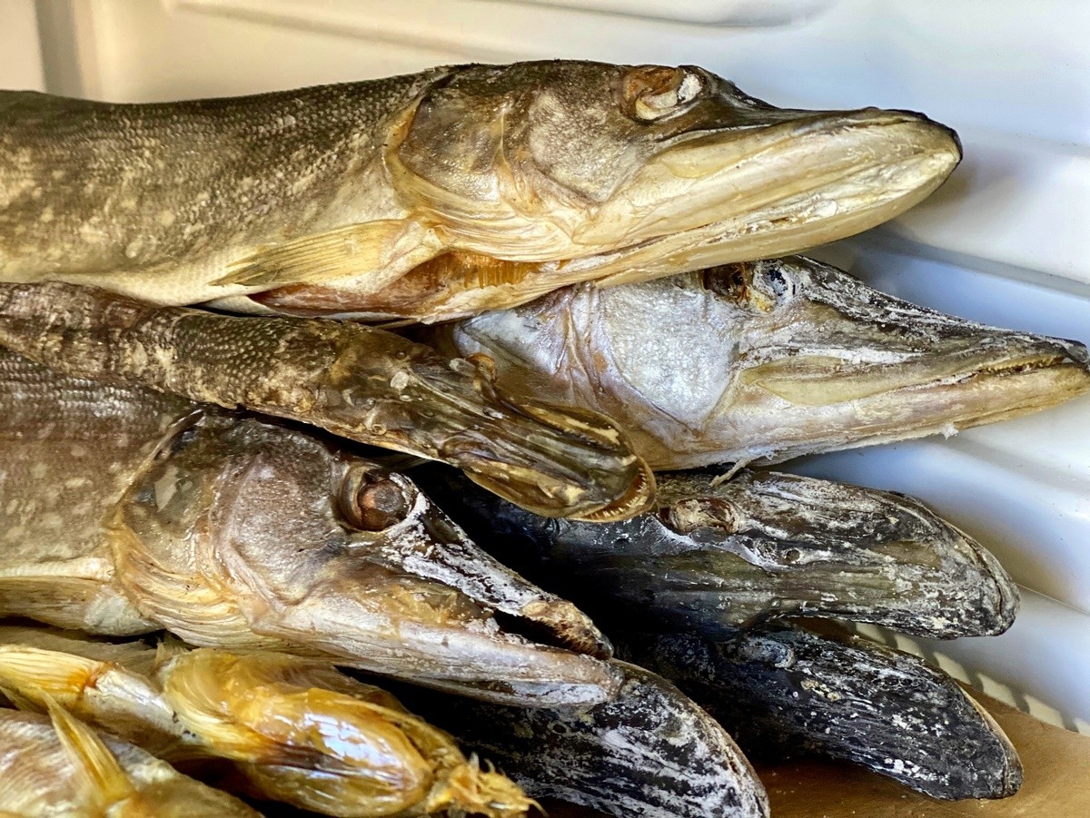 Сеть магазинов и спорт-баров «Пиво Мастер» дарит мужчинам скидку 23% на рыбку до конца месяца