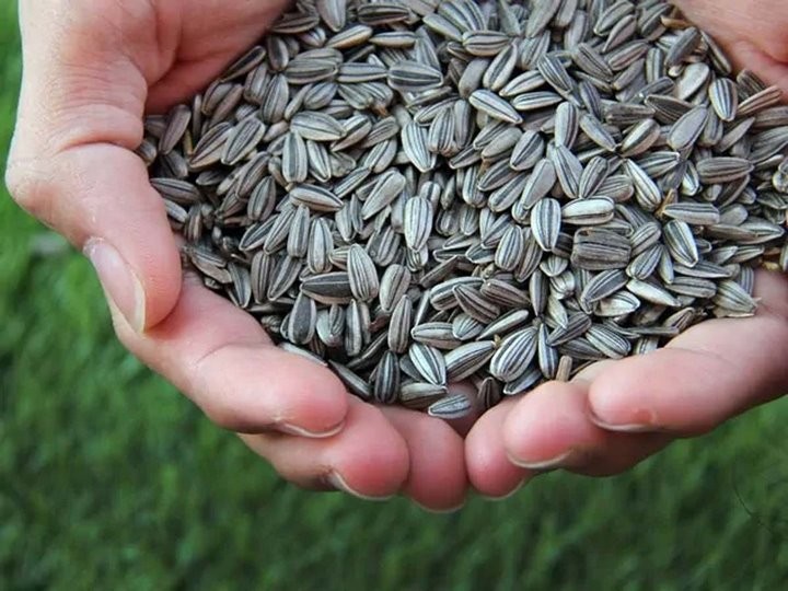 из открытых источников (иллюстративное)