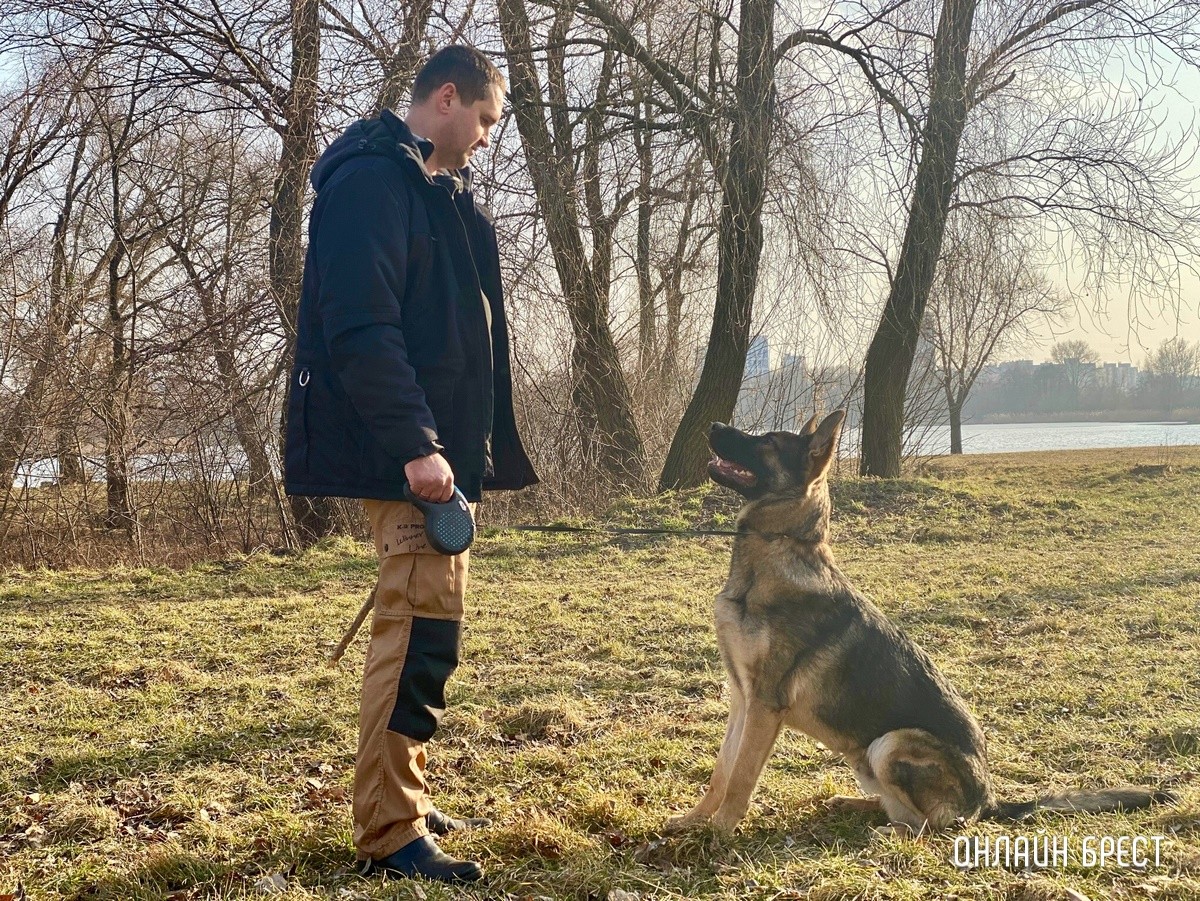 Психология поведения домашних кошек и собак. Разбираемся вместе с зоологом и «Доктор Хвостов»