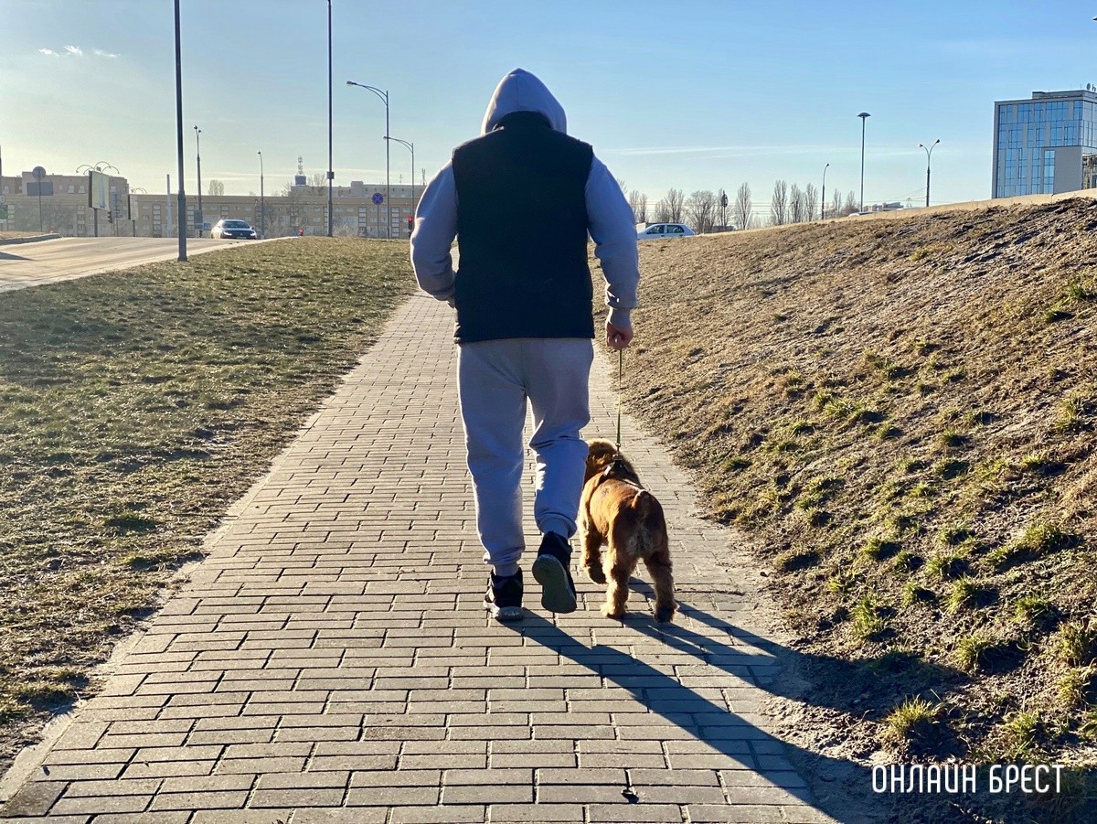 Психология поведения домашних кошек и собак. Разбираемся вместе с зоологом и «Доктор Хвостов»