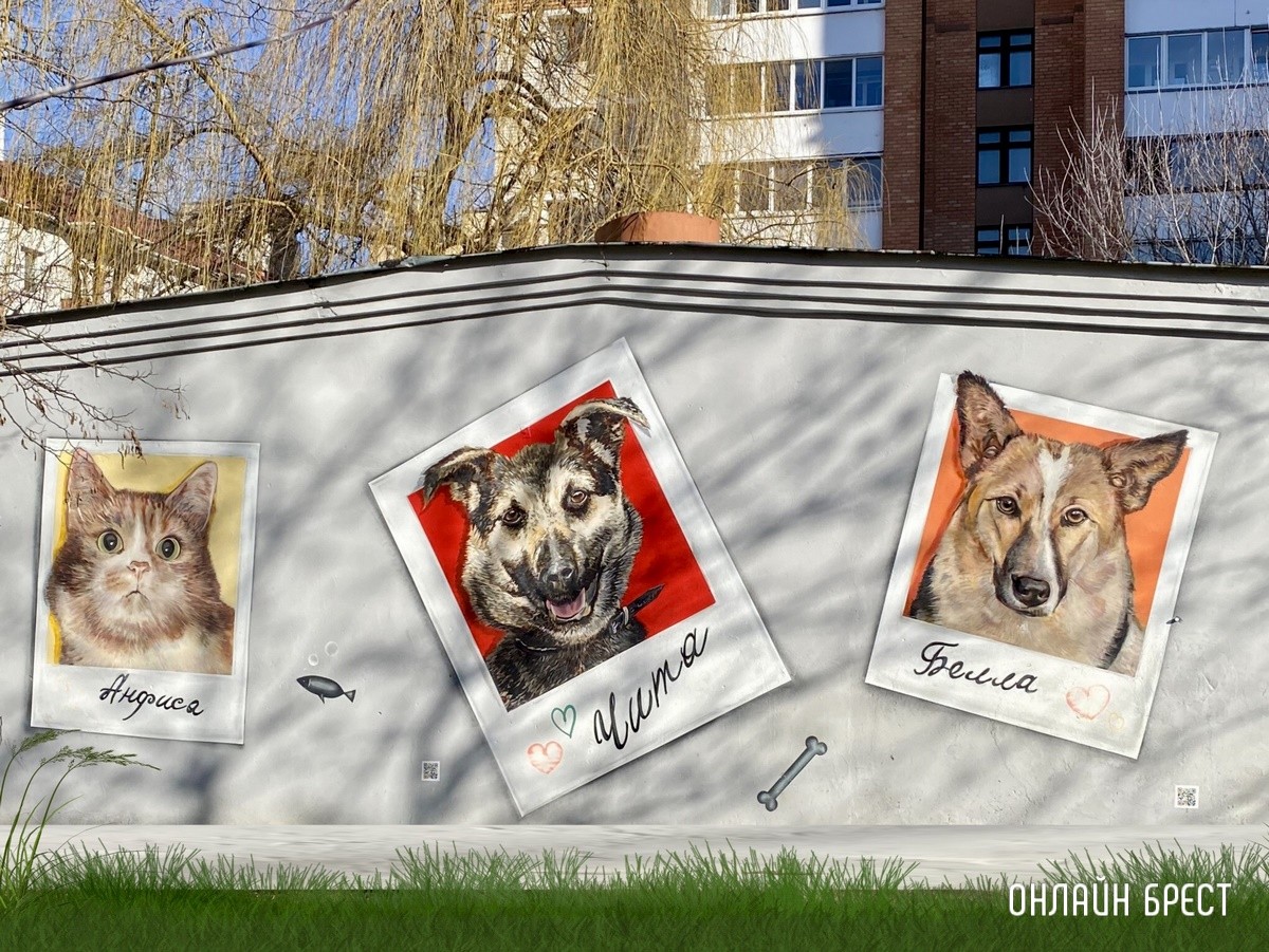 Психология поведения домашних кошек и собак. Разбираемся вместе с зоологом и «Доктор Хвостов»