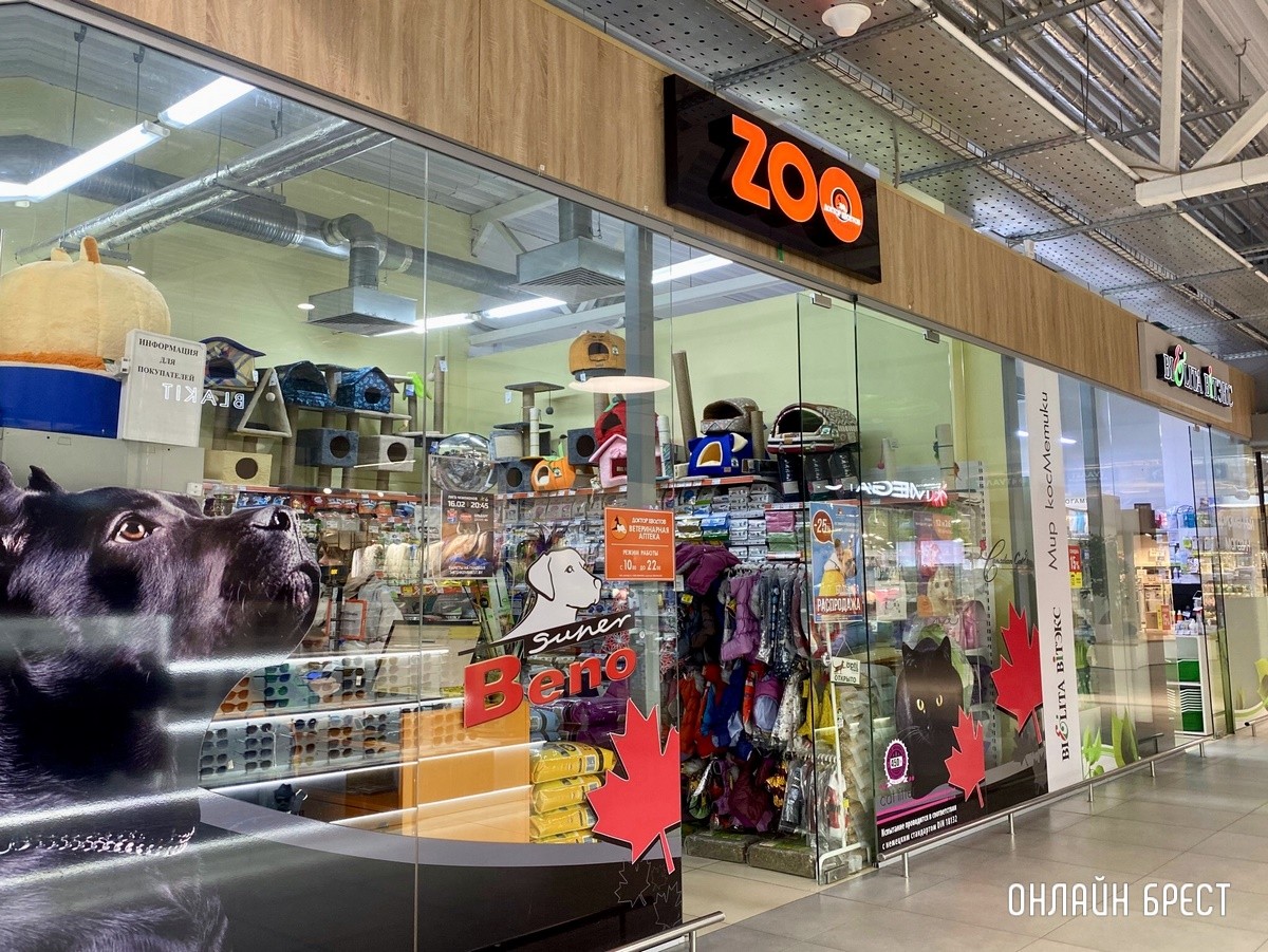 Психология поведения домашних кошек и собак. Разбираемся вместе с зоологом и «Доктор Хвостов»