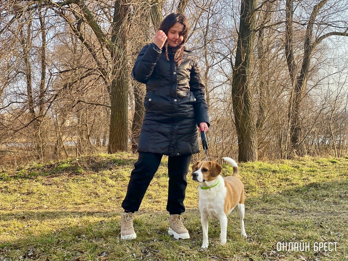 Психология поведения домашних кошек и собак. Разбираемся вместе с зоологом и «Доктор Хвостов»