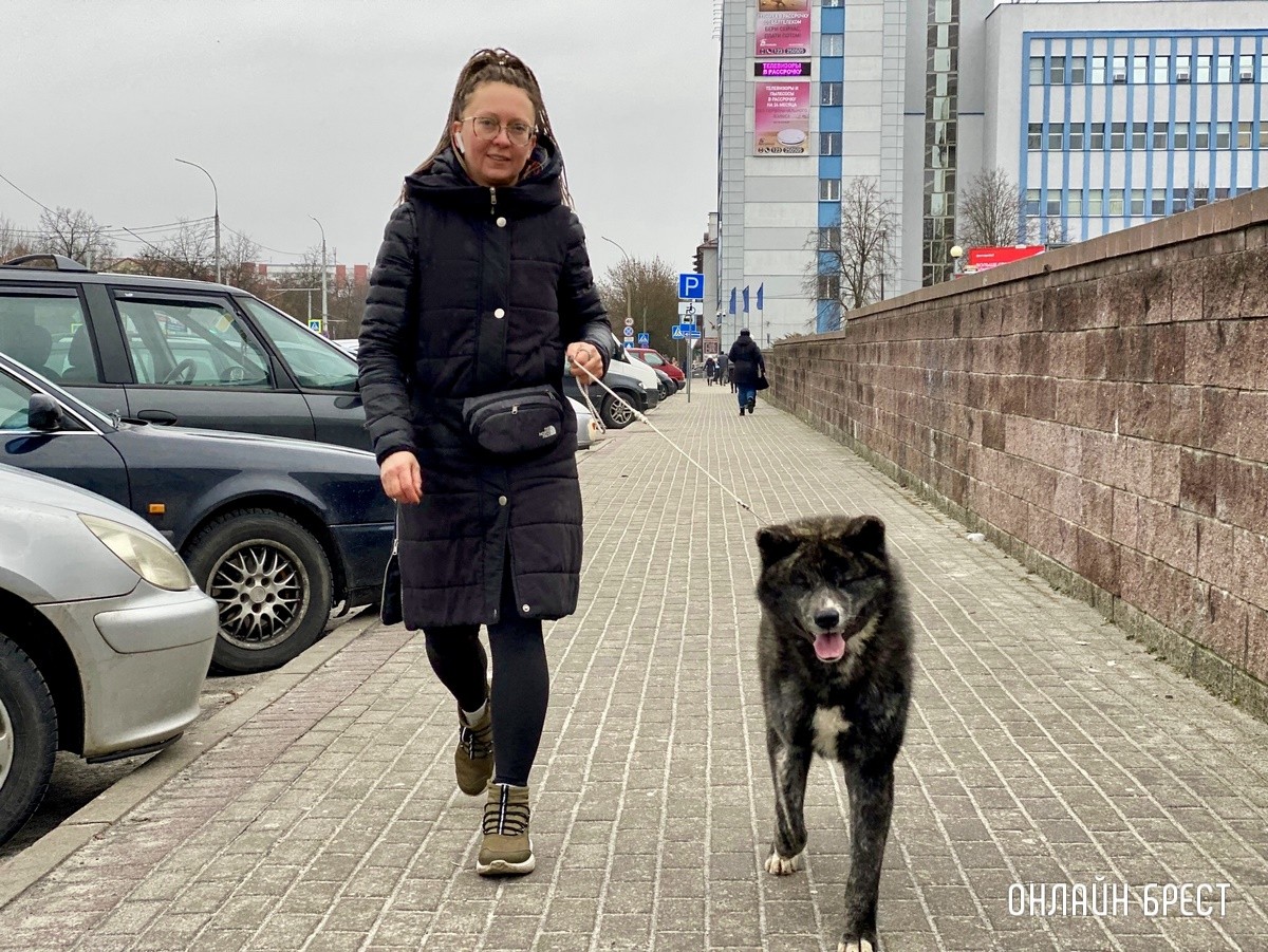 Психология поведения домашних кошек и собак. Разбираемся вместе с зоологом и «Доктор Хвостов»