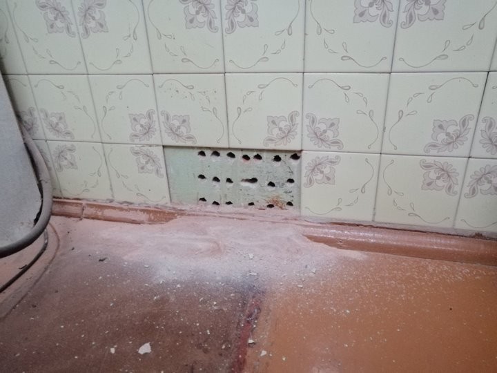 В Барановичах кошка провалилась в вентиляцию. Ее достали спасатели