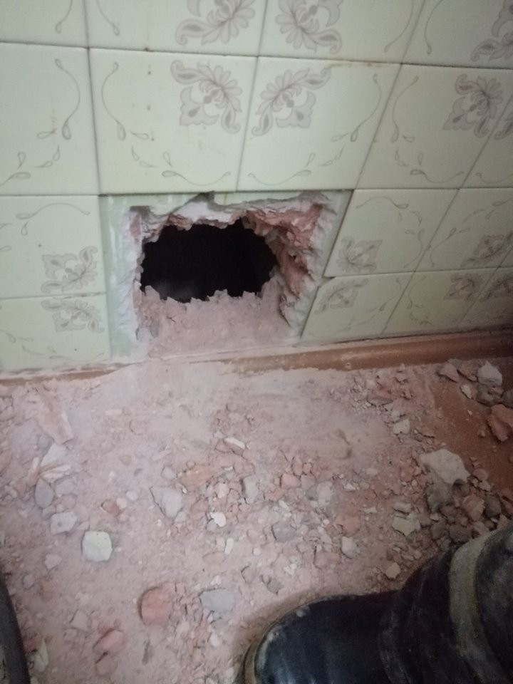 В Барановичах кошка провалилась в вентиляцию. Ее достали спасатели