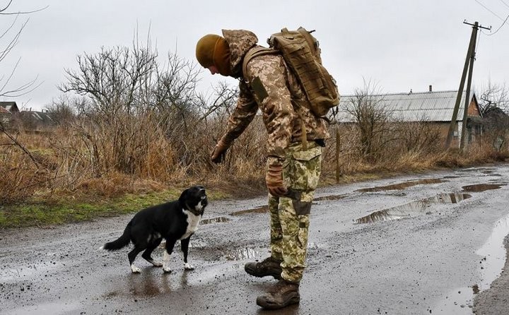 Andriy Andriyenko / Global Look Press