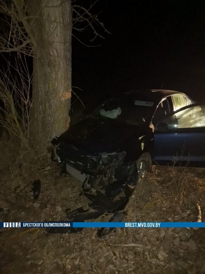 Водитель из Брестской области врезался в дерево