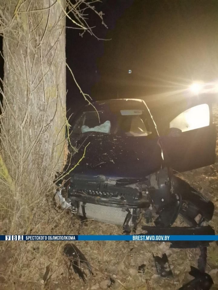 Водитель из Брестской области врезался в дерево