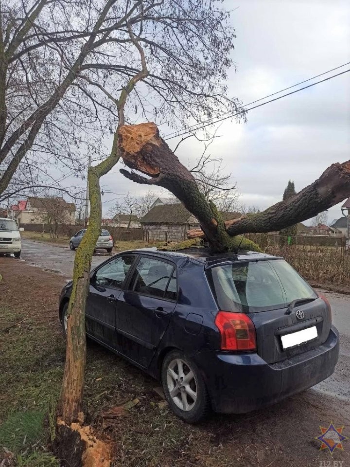 В Бресте спасатели борются с последствиями непогоды