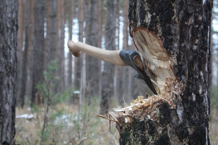 Фото из открытых источников (иллюстративное)